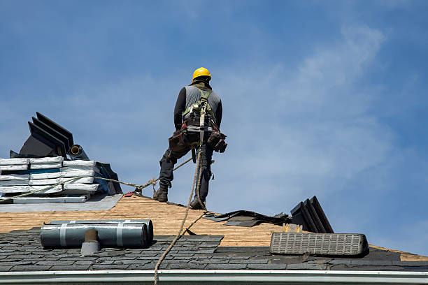 Professional Roofing technician working in La Fayette, IL